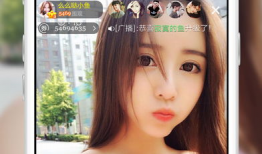 成人直播软件91,揭秘成人娱乐软件的虚拟世界